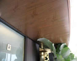 Ceiling ( Ốp trần , tường )