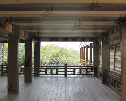 Column Panel ( Hệ Cột )